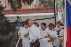 pojizersky-festival-vence-pruvod-zahajeni-140