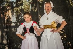 pojizersky-festival-733-z-796