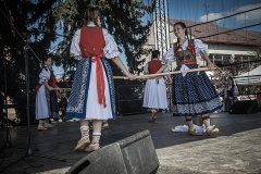 festival-Bakov-564