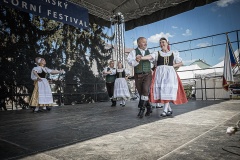 festival-Bakov-515