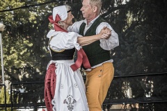 festival-Bakov-521