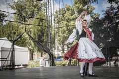 festival-Bakov-525