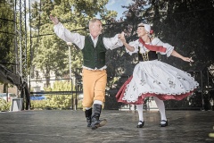 festival-Bakov-527
