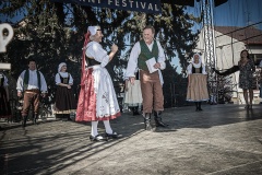 festival-Bakov-658