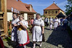 NIK0074a-FB