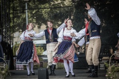 festival-Bakov-278