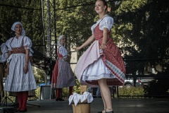 festival-Bakov-447