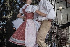 festival-Bakov-478