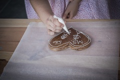 festival-Bakov-539