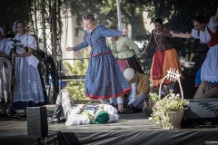 festival-Bakov-554