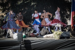 festival-Bakov-556