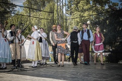 festival-Bakov-597