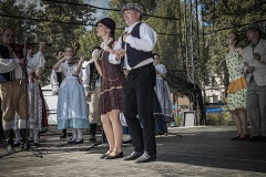 festival-Bakov-600