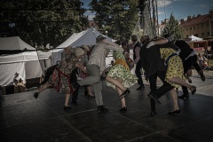 festival-Bakov-610