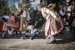 festival-Bakov-618
