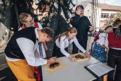 pojizersky-festival-452-z-796