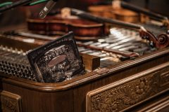 IMG_0637