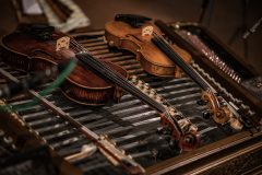 IMG_0638